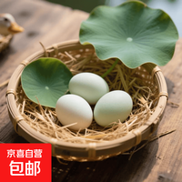 京东 鸭蛋新鲜生鸭蛋60-70g土鸭蛋农家散养青皮白皮生鲜食品超市批发 30枚