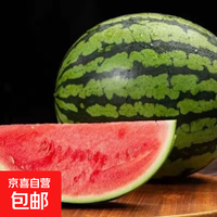 京东 海南有籽麒麟西瓜当季薄皮孕妇水果超甜整个包邮 麒麟西瓜带箱4-6斤净重4斤+