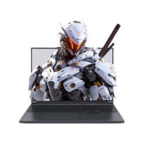 机械革命 极光X 16英寸笔记本电脑 灰色（i7-14650HX、RTX5060、2.5K 180Hz、16GB、512GB SSD）
