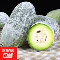 新鲜小冬瓜香冬瓜毛节瓜水果凉感小冬瓜新鲜蔬菜生鲜生鲜刮油减脂 河南新鲜小冬瓜 5斤 净重