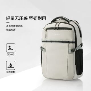 新秀丽 商务通勤双肩包 15.6英寸 电脑包 大容量多隔层