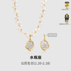 安铂洛利 王玉雯同款安铂洛利珍珠项链女新款锁骨链轻奢小众配饰星引力系列