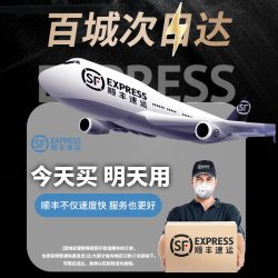盛贝 Tesla 特斯拉 TSL专用补漆笔 16ml