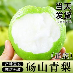 顺丰可选 砀山青梨新鲜水果皇冠当季翠冠香酥脆蜜早雪梨整箱包邮