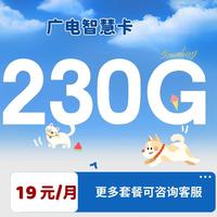 中国广电 智慧卡1年内19元230G全国流量不限速