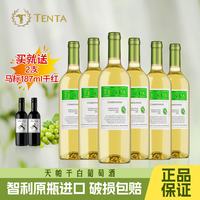 TENPA 智利原瓶进口莎当妮白葡萄酒 750ml*6瓶 整箱