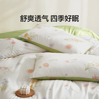 LOVO 全棉 四件套纯棉
