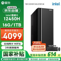 攀升 睿龙T5 办公商用设计台式电脑全套整机