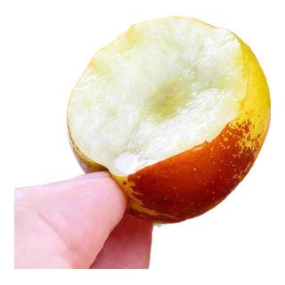 耀好 陕西大荔冬枣 净重4.5斤 生鲜水果