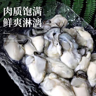 鲜驰 生蚝肉 冷冻去壳纯肉 贝类海鲜