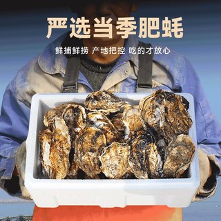 鲜驰 生蚝肉 冷冻去壳纯肉 贝类海鲜