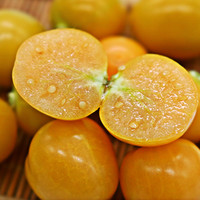 鲜姿 姑娘果精选新鲜菇娘果 净重1.8斤 单果5g+