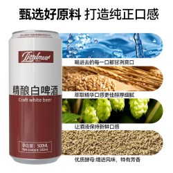 Ijsselmeer 12度精酿黑白啤酒