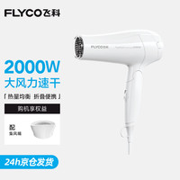飞科 经济款FH6231系列 电吹风机 白色