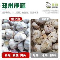 晨识 邳州紫皮大蒜 65mm 高品质净蒜