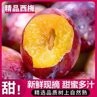 元珍鲜诚 当季新鲜法兰西 西梅 应季水果整箱 孕妇女神蓝蜜鲜果 团购送礼 5斤装(净果4.5斤)优选果