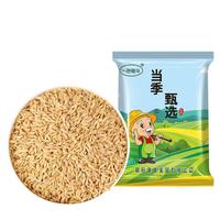 一把锄头 燕麦米 五谷杂粮