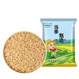 一把锄头 燕麦米 五谷杂粮