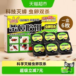 Joya 蟑螂药家用非无毒全窝正品第强效虫卵双杀灭除杀蟑胶饵专用