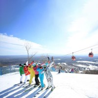 【早鸟雪货】2-3晚长白山吉视传媒雅高铂尔曼度假酒店 2大1小早餐+含雪票权益+接送