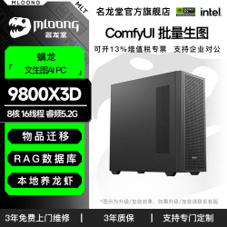 名龙堂 AMD 9800X3D 专业图形设计工作站AI动画制作台式机3D建模影视渲染电脑主机企业内部服务器