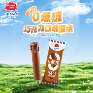 美登高 冰淇淋 无蔗糖木糖醇巧克力棒支雪糕60g*10支 0蔗糖冰棍冰激凌