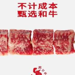 苏小牛 欢聚4人餐（限时售卖）