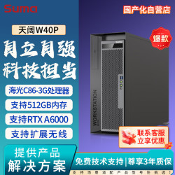 SUMA 中科可控信创天阔W40P国产双路塔式工作站主机(2颗海光3390/32G/960G 2T/T