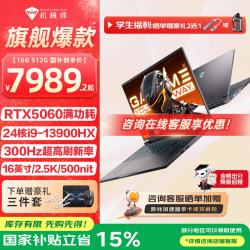 机械师 曙光16S 2026新款游戏本  24核i9-13900HX/5060/300Hz 灰 16G-512G