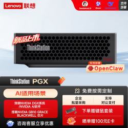 联想 ThinkStation PGX 桌面级个人AI计算机工作站主机电脑支持龙虾OpenClaw部署