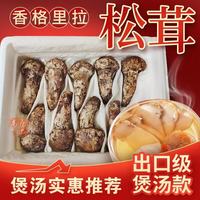 高原云品 香格里拉出口级不开伞 冷链 5-7cm 500克 速冻松茸5-7厘米