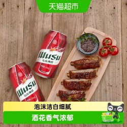 乌苏啤酒 红乌苏啤酒330ml*6