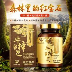 康本自然台湾牛樟芝子实体胶囊高三萜高浓缩强免疫放化疗重症术后营养品 牛樟芝精华胶囊