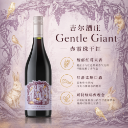 吉尔酒庄 赤霞珠干红 750ml 冷链配送