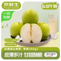 京鲜生 安徽砀山青梨 250g/个 8.5斤装