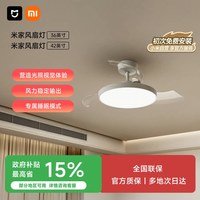 米家 9290041667 风扇灯 95W 白色 42英寸