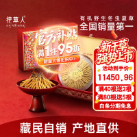 挖草人 野生冬虫夏草 中老年人养生滋补品 虫草礼盒 一级草[1克二根] 30克豪礼装 野生虫草