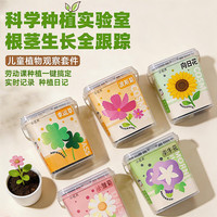 小花农 儿童果蔬植物观察种植盆栽实验套装