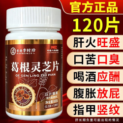 同仁堂 李时珍葛根灵芝片 1瓶 体验装