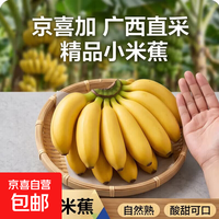 京喜加 小米蕉带箱5斤