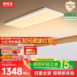 邦先生 电动晾衣架 自动升降伸缩 照明隐藏双杆
