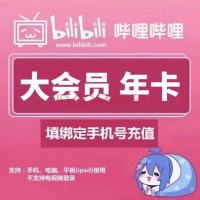 bilibili 哔哩哔哩 大会员12个月B站12个月bilibili年卡 哔哩哔哩年卡