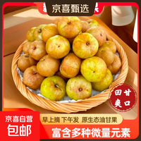 京东 正宗潮汕油柑果油甘果回甘饼甜消食刮油新鲜水果减脂京东快递 阿嬷同款2斤带箱 约90