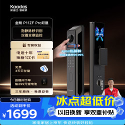 凯迪仕 P11ZF Pro 双摄版 智能电子锁 幻影黑
