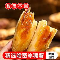 莎凰 冰糖心白薯 带箱5斤中大果