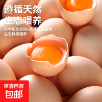京喜 山林谷物鲜鸡蛋 45g*20枚