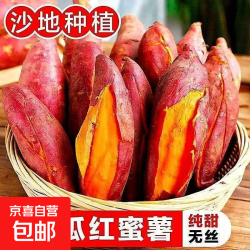 京喜 西瓜红蜜薯 2斤中小果