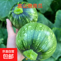 京喜 现摘嫩南瓜  1斤