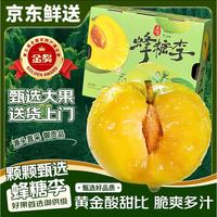 鲜其 贵州蜂糖李蜂蜜李李子水果礼盒装 500g净重尝鲜装
