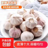 京喜 新鲜干蒜250g